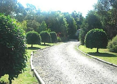 The driveway up to the cottages