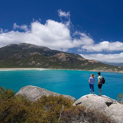 Wilsons Promontory National Park bay view (Photo copyright to parks.vic.gov.au)Picture